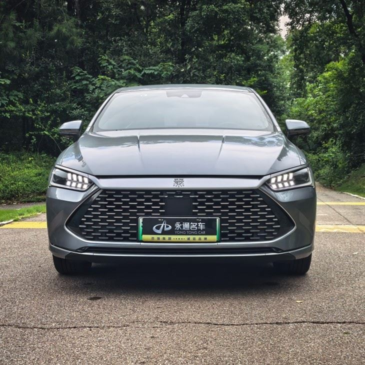Hot Sale Used BYD 2023 Qin PLUS Championship Edition DM-i 120KM Super Version factory